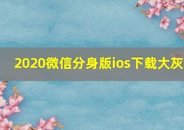 2020微信分身版ios下载大灰