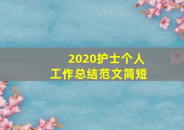 2020护士个人工作总结范文简短