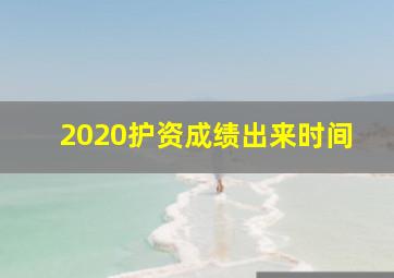 2020护资成绩出来时间