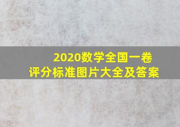 2020数学全国一卷评分标准图片大全及答案