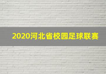 2020河北省校园足球联赛