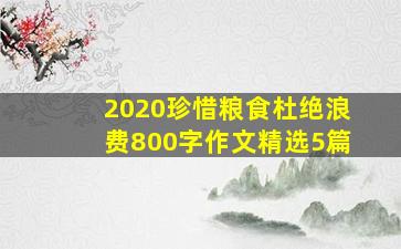 2020珍惜粮食杜绝浪费800字作文精选5篇