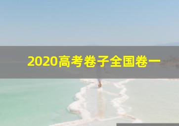 2020高考卷子全国卷一