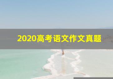 2020高考语文作文真题