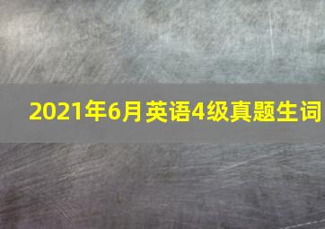 2021年6月英语4级真题生词