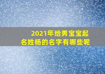 2021年给男宝宝起名姓杨的名字有哪些呢