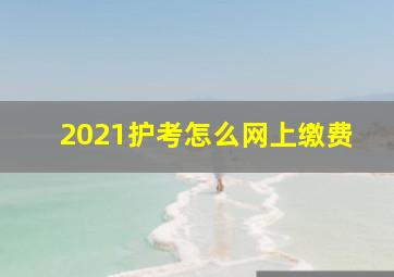 2021护考怎么网上缴费