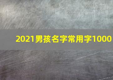 2021男孩名字常用字1000