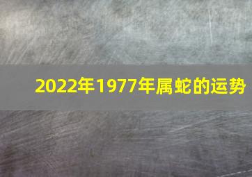 2022年1977年属蛇的运势