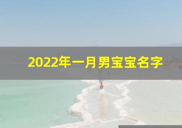 2022年一月男宝宝名字