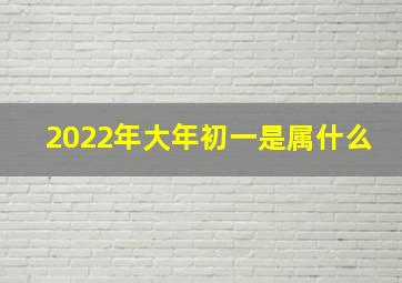 2022年大年初一是属什么