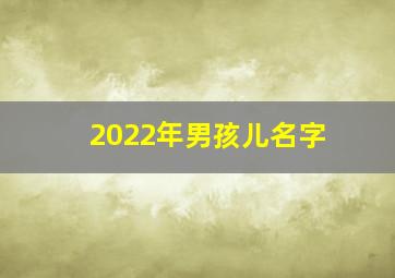 2022年男孩儿名字