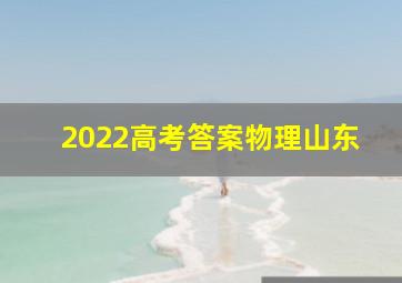 2022高考答案物理山东