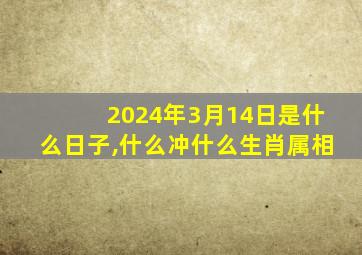 2024年3月14日是什么日子,什么冲什么生肖属相