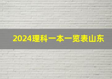 2024理科一本一览表山东