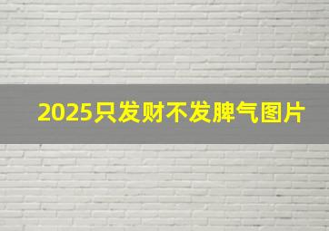 2025只发财不发脾气图片