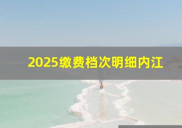 2025缴费档次明细内江