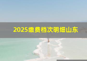 2025缴费档次明细山东