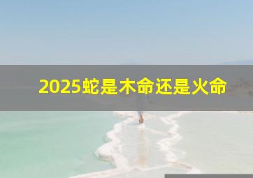 2025蛇是木命还是火命