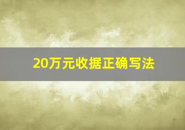 20万元收据正确写法