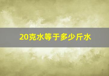 20克水等于多少斤水