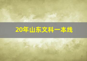 20年山东文科一本线