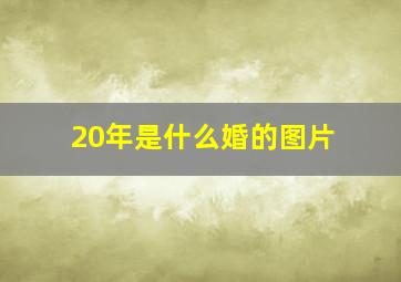 20年是什么婚的图片