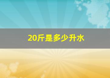 20斤是多少升水