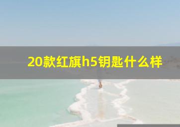 20款红旗h5钥匙什么样