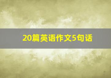 20篇英语作文5句话