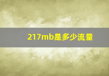 217mb是多少流量