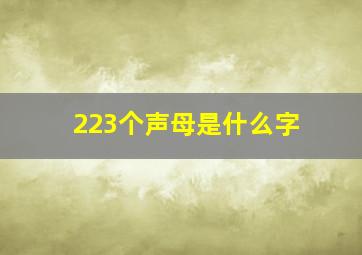 223个声母是什么字