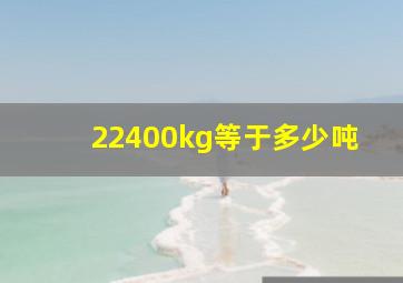 22400kg等于多少吨