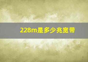 228m是多少兆宽带