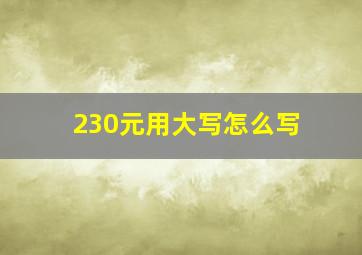 230元用大写怎么写