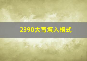 2390大写填入格式