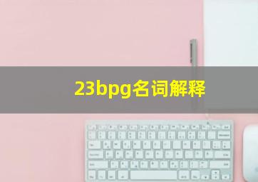 23bpg名词解释