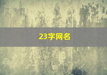 23字网名