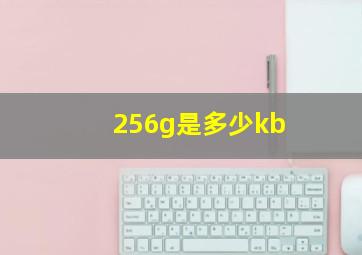 256g是多少kb