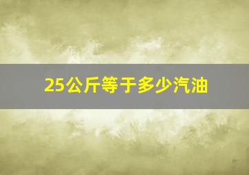 25公斤等于多少汽油