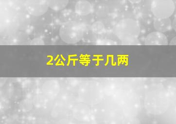 2公斤等于几两