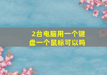 2台电脑用一个键盘一个鼠标可以吗