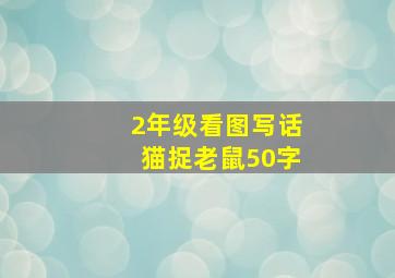 2年级看图写话猫捉老鼠50字