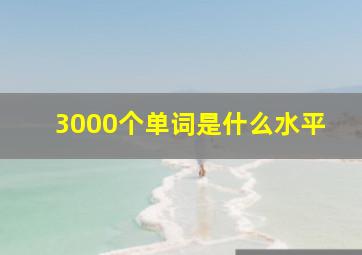 3000个单词是什么水平