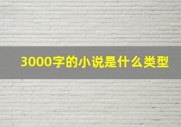 3000字的小说是什么类型