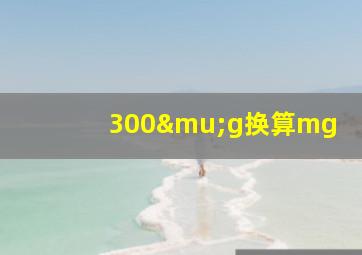 300μg换算mg