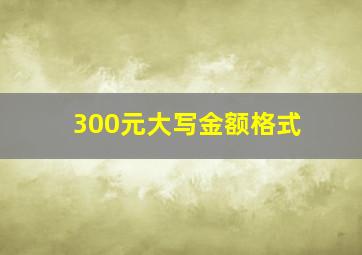 300元大写金额格式