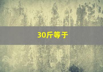 30斤等于