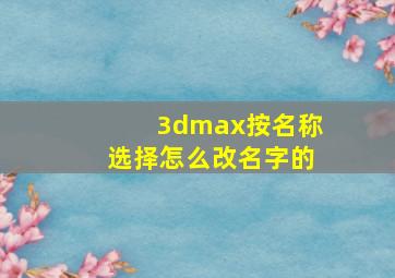 3dmax按名称选择怎么改名字的