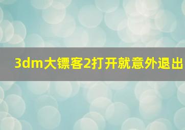 3dm大镖客2打开就意外退出